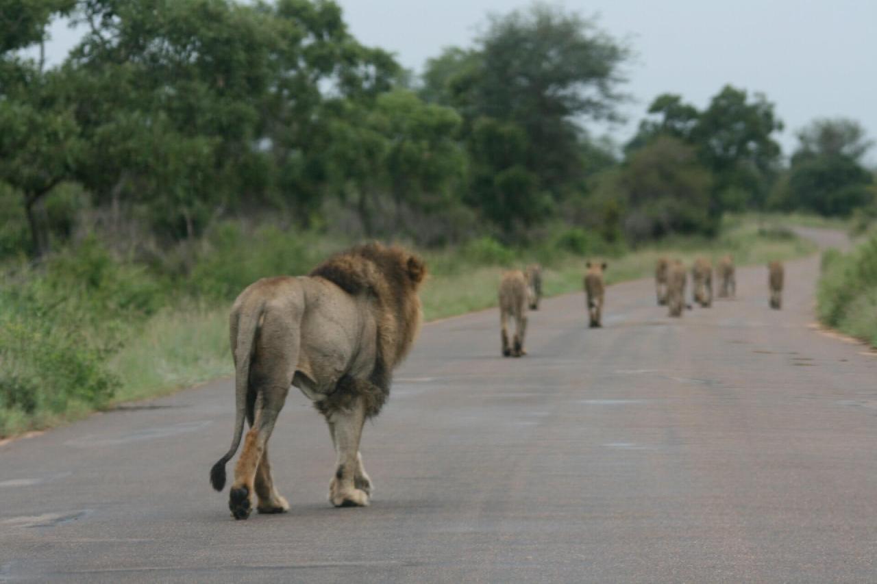 Africa de Sud