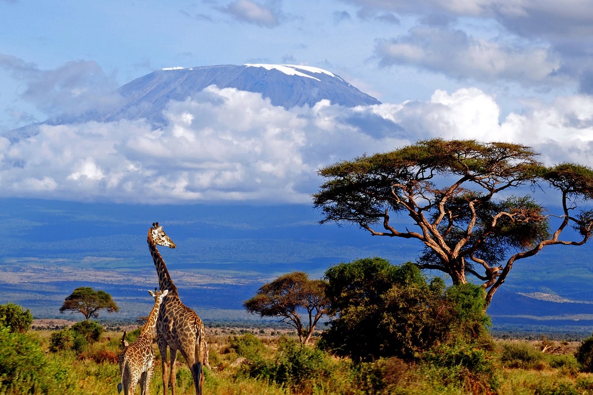 Tanzania - Muntele Kilimanjaro