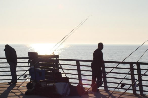 Cum sa alegi undita potrivita pentru pescuit