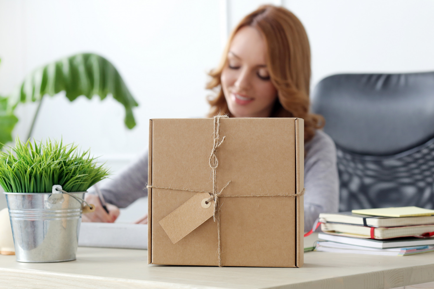 Ce sunt cutiile Bag in Box
