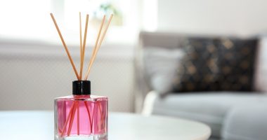 odorizant camera profesional