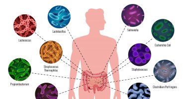 Clostridium difficile