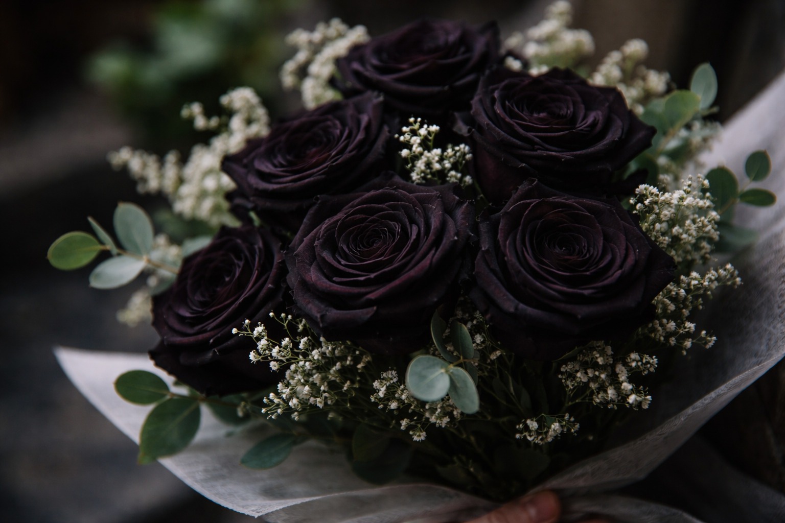 Ce simbolizează trandafirii negri într-un buchet?