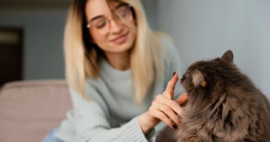 Cui îi lași pisica atunci când pleci de acasă
